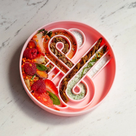 Zoomies Slow Feeder Bowl | Strawberry