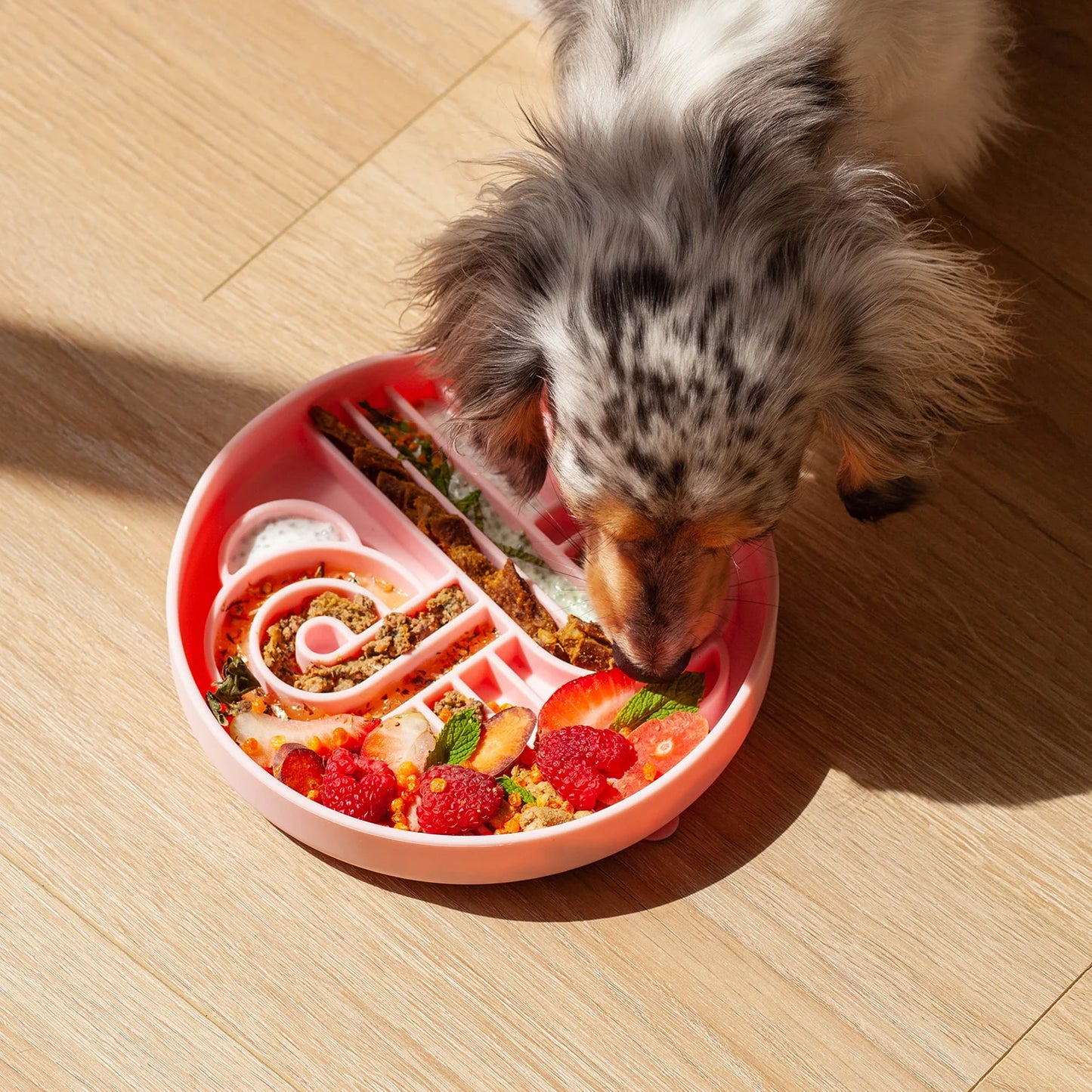 Zoomies Slow Feeder Bowl | Strawberry