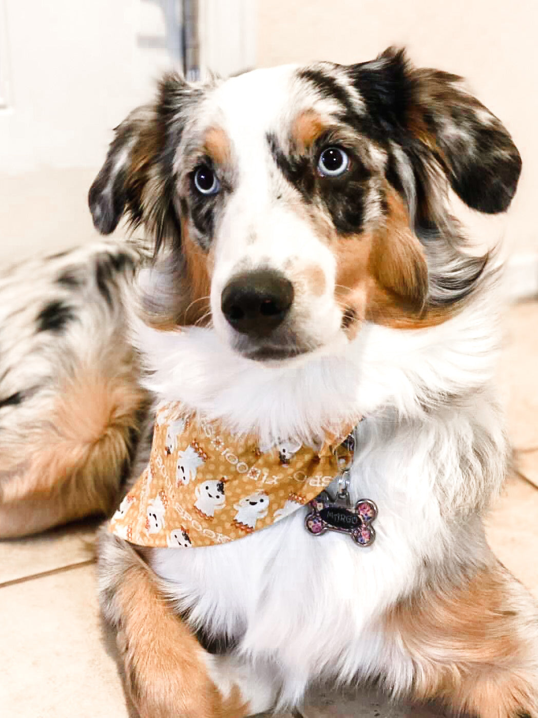Spooky Boo Bandana